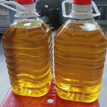 野生小籽农家山茶油月子油土榨压榨茶籽油低温冷榨茶油