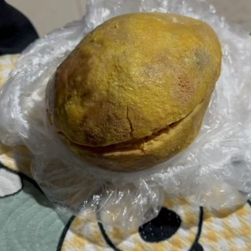 鸡宝