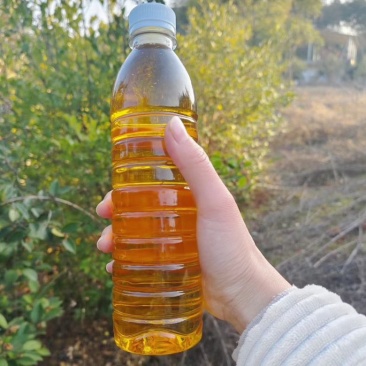 山茶油正品广西农家山茶油护肤茶籽油纯正100%无添加原纯茶油