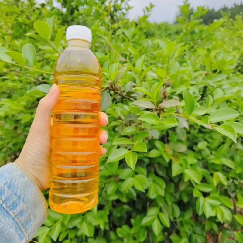 山茶油正品广西农家山茶油护肤茶籽油纯正100%无添加原纯茶油