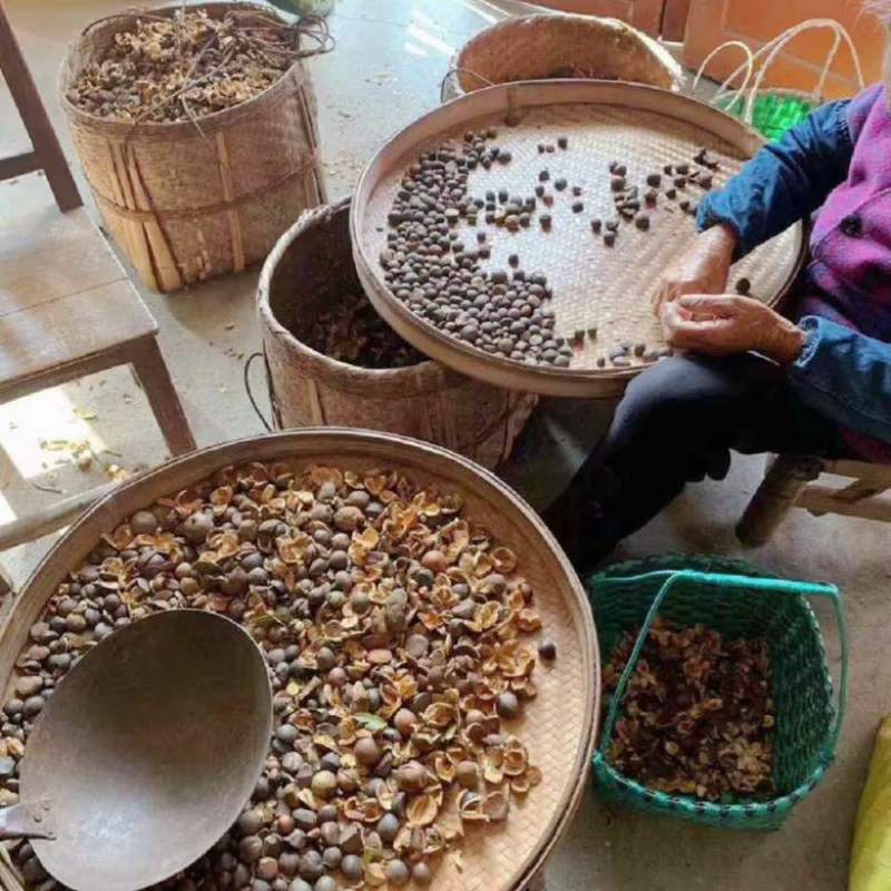 山茶油正品广西农家山茶油护肤茶籽油纯正100%无添加原纯茶油