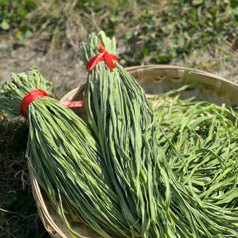 精品贡菜颜色青价格优惠产地直销大量货源长期供货