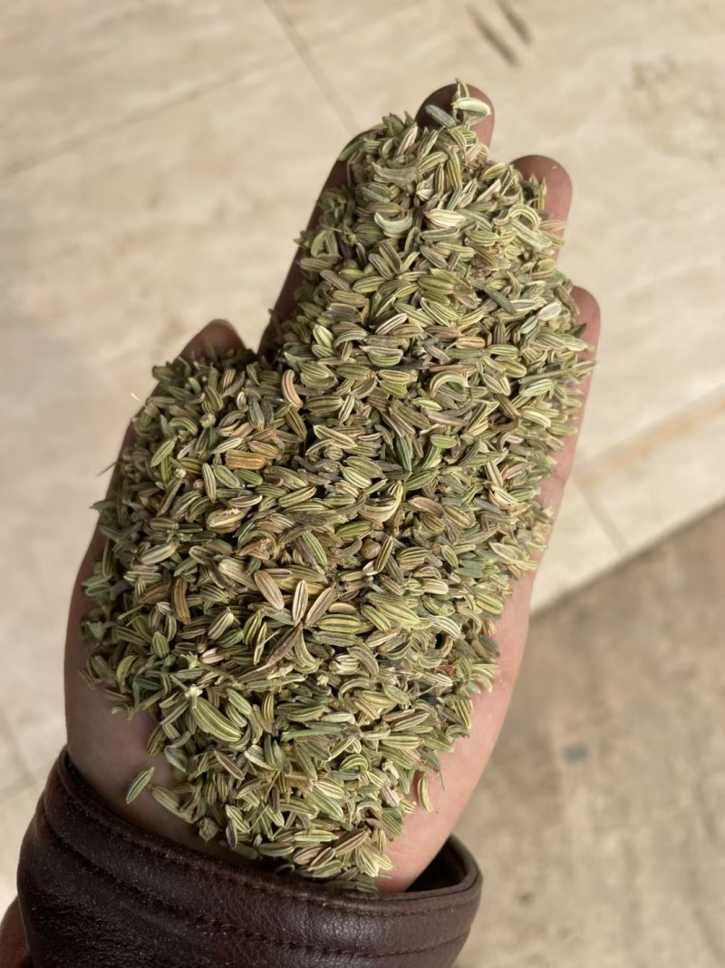 国产特绿小茴香