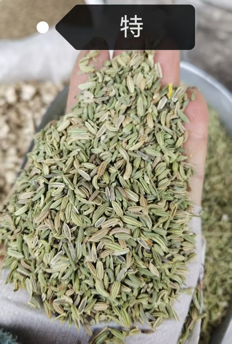 国产特绿小茴香