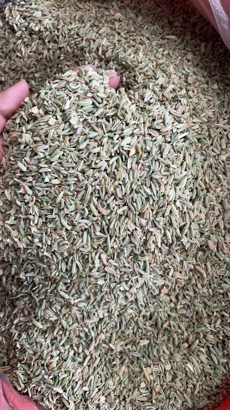 国产特绿小茴香