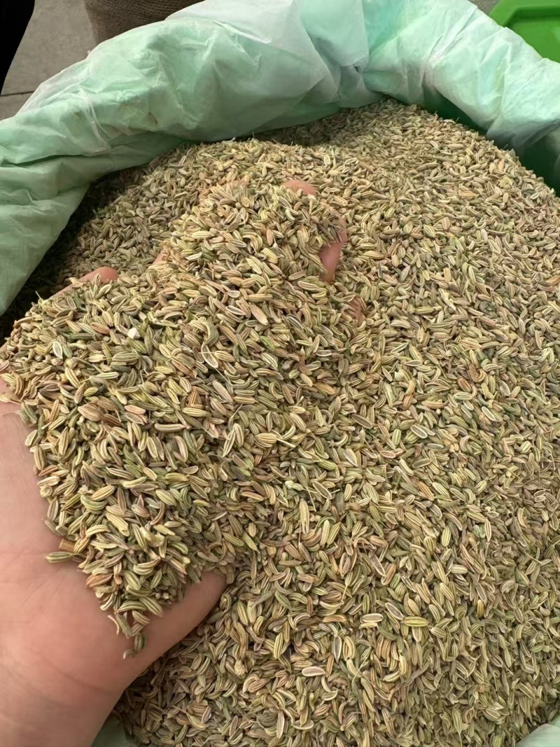 国产特绿小茴香