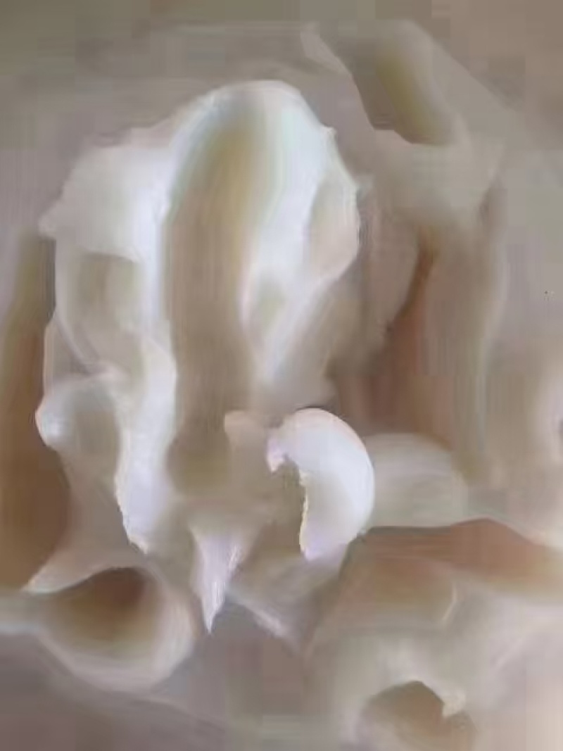 金锣猪油