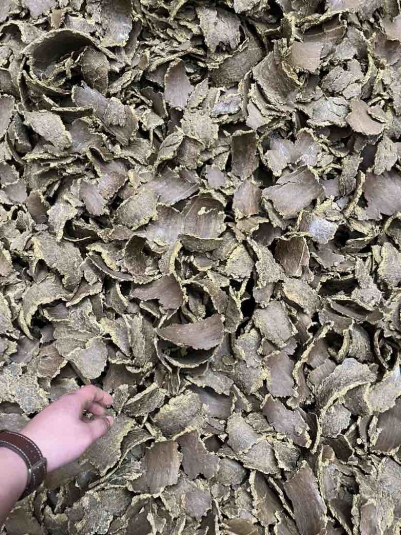 棉籽饼菜籽饼上地专用厂家直销无套路质量保证
