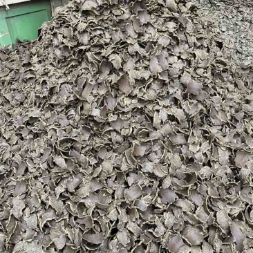 棉籽饼菜籽饼上地专用厂家直销无套路质量保证
