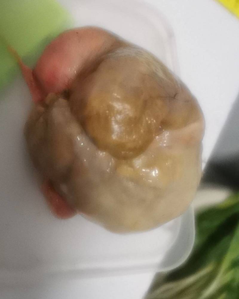 湖南省衡阳市，鸡宝