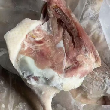 鸭边腿153山东提货0530年的货4817月20吨