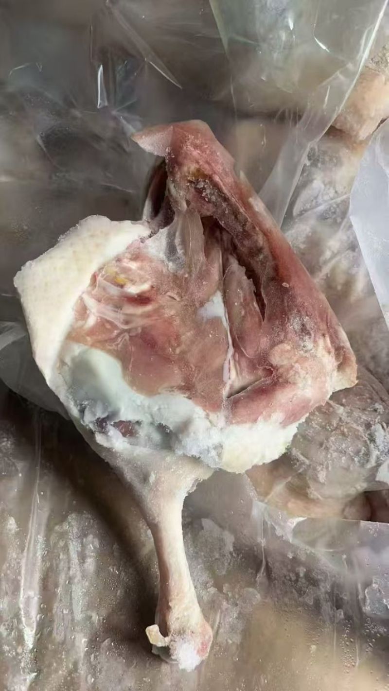 鸭边腿153山东提货0530年的货4817月20吨