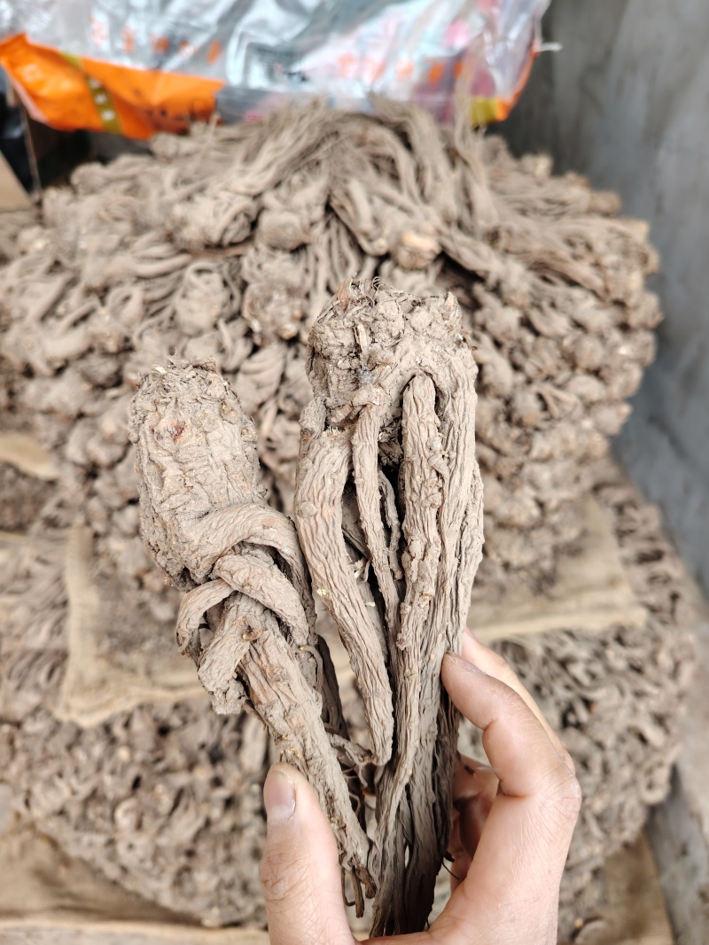 甘肃岷县当归，原条，自然晾晒，无硫纯手工塑型，自家种植！