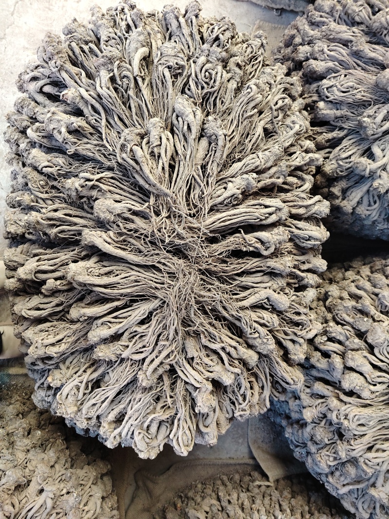 甘肃岷县当归，原条，自然晾晒，无硫纯手工塑型，自家种植！