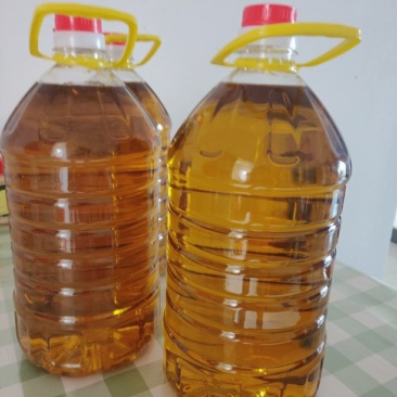 山茶油野生种植土茶油纯正山茶籽油自榨农家特产茶树油护肤1斤