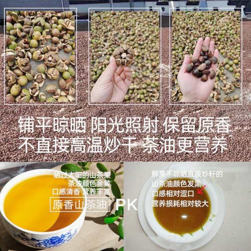 山茶油野生种植土茶油纯正山茶籽油自榨农家特产茶树油护肤1斤