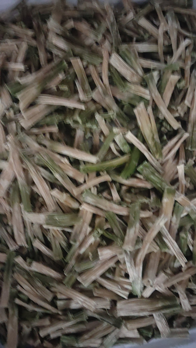 石刁柏