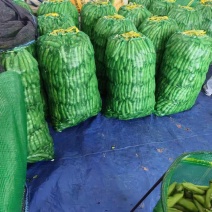 大蚕豆，大蚕豆。量大老板直接来