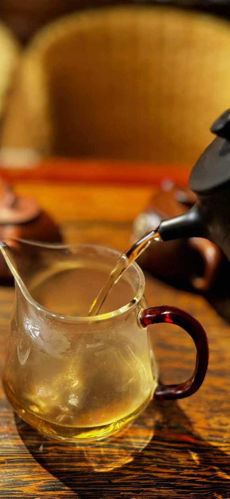 晓光山古树龙珠生茶