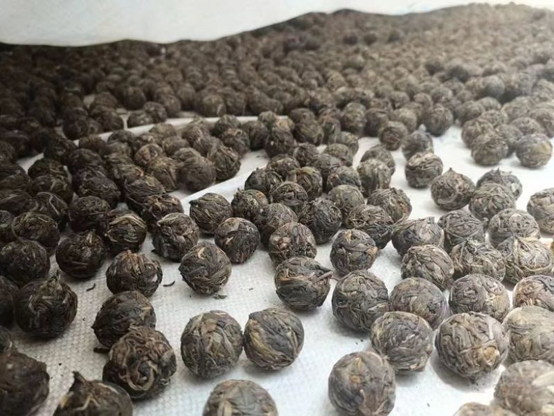 晓光山古树龙珠生茶