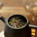 晓光山古树龙珠生茶