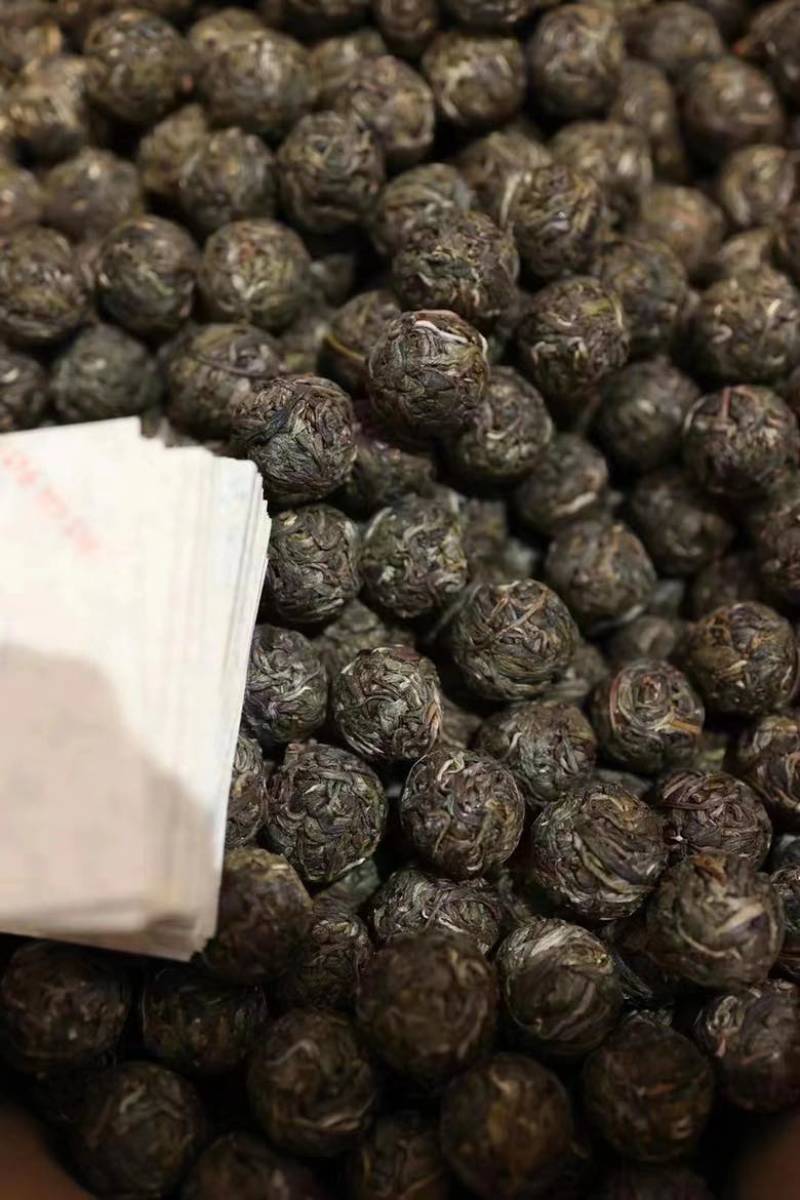 晓光山古树龙珠生茶