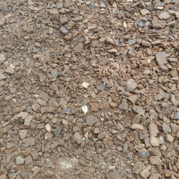 石磨香油的油渣