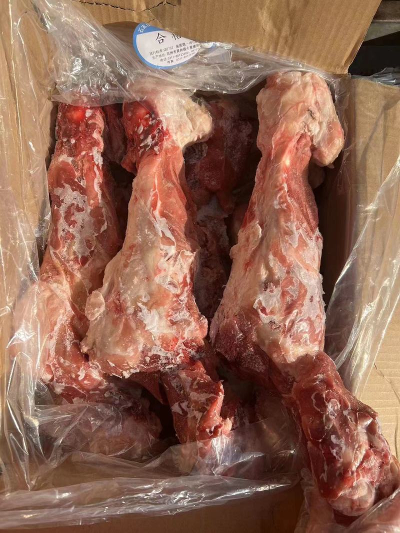 后腿骨