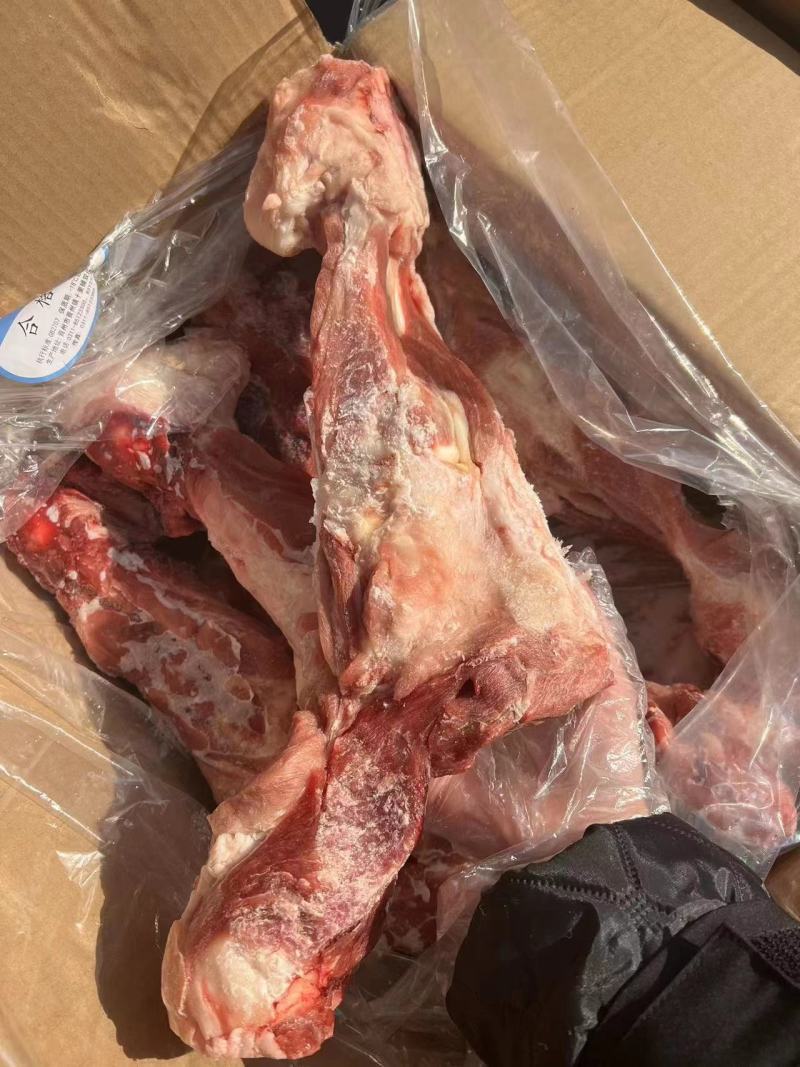 后腿骨