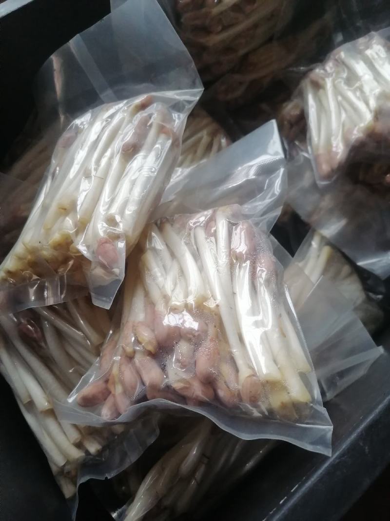 花生芽产地直发真空包装也有欢迎详情联系