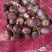【电话联系】新鲜大蒜独头蒜分瓣蒜紫皮分蒜