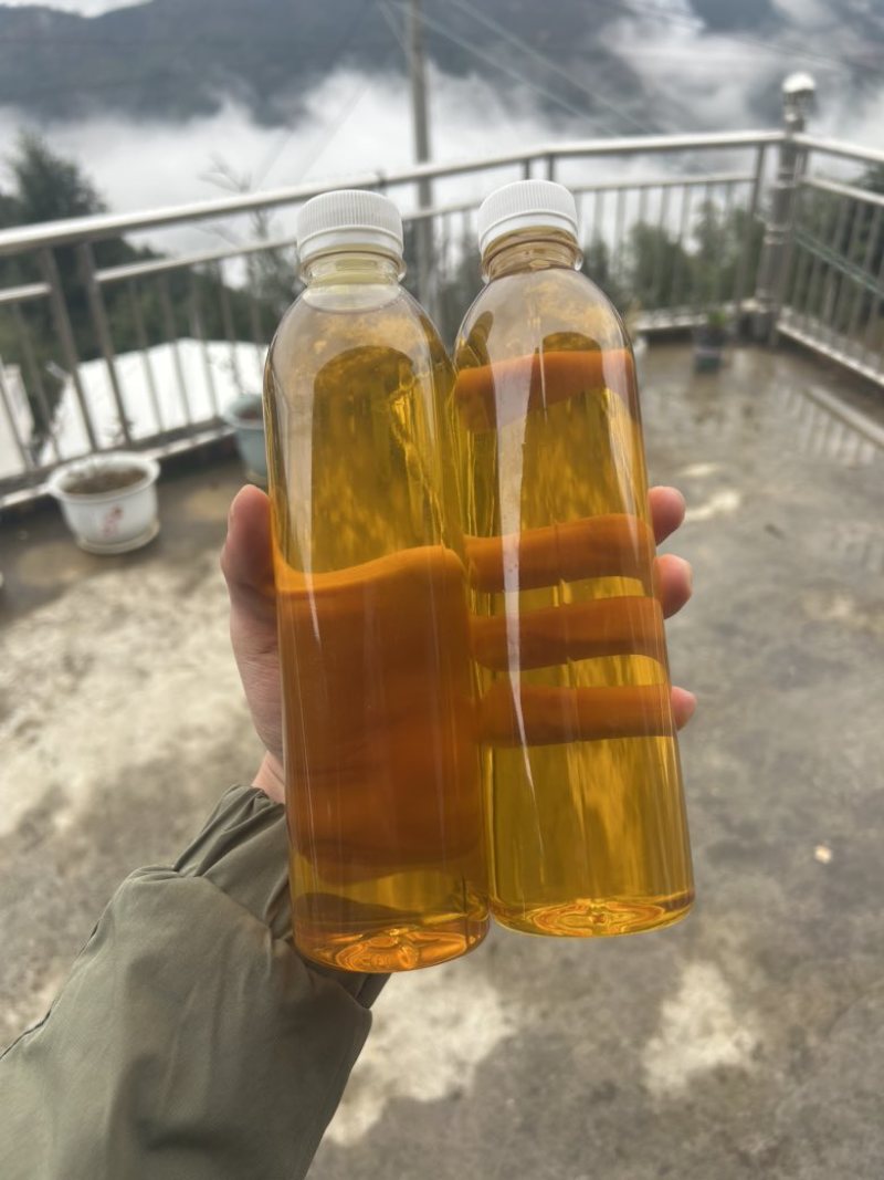 2024年广西百色高山茶油茶籽油物理压榨农家特产霜降茶油