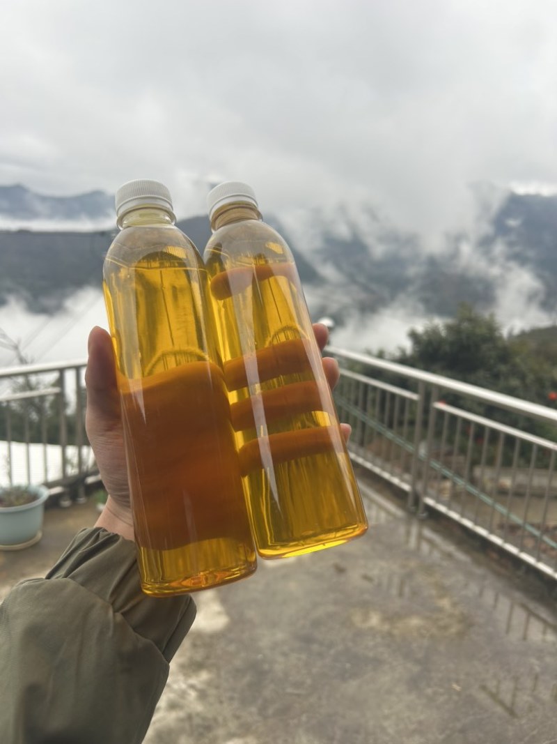 2024年广西百色高山茶油茶籽油物理压榨农家特产霜降茶油