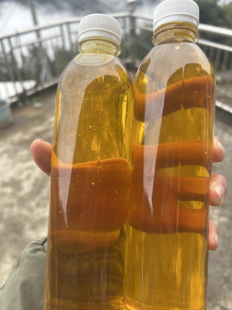 2024年广西百色高山茶油茶籽油物理压榨农家特产霜降茶油
