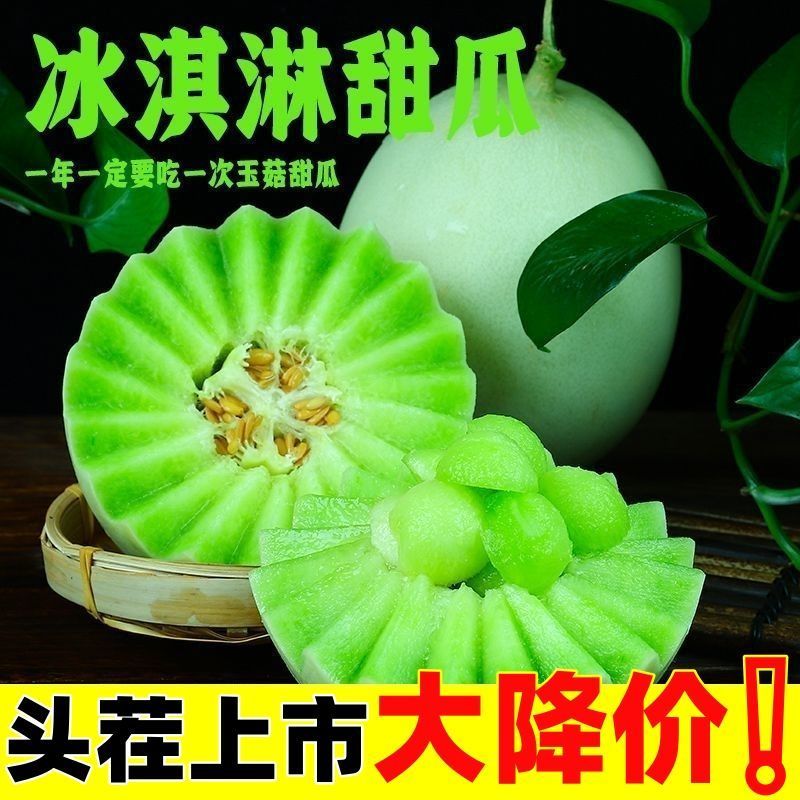 冰淇淋玉菇甜瓜现摘现发商超电商一件代发