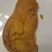 **鸡宝（献鸡）