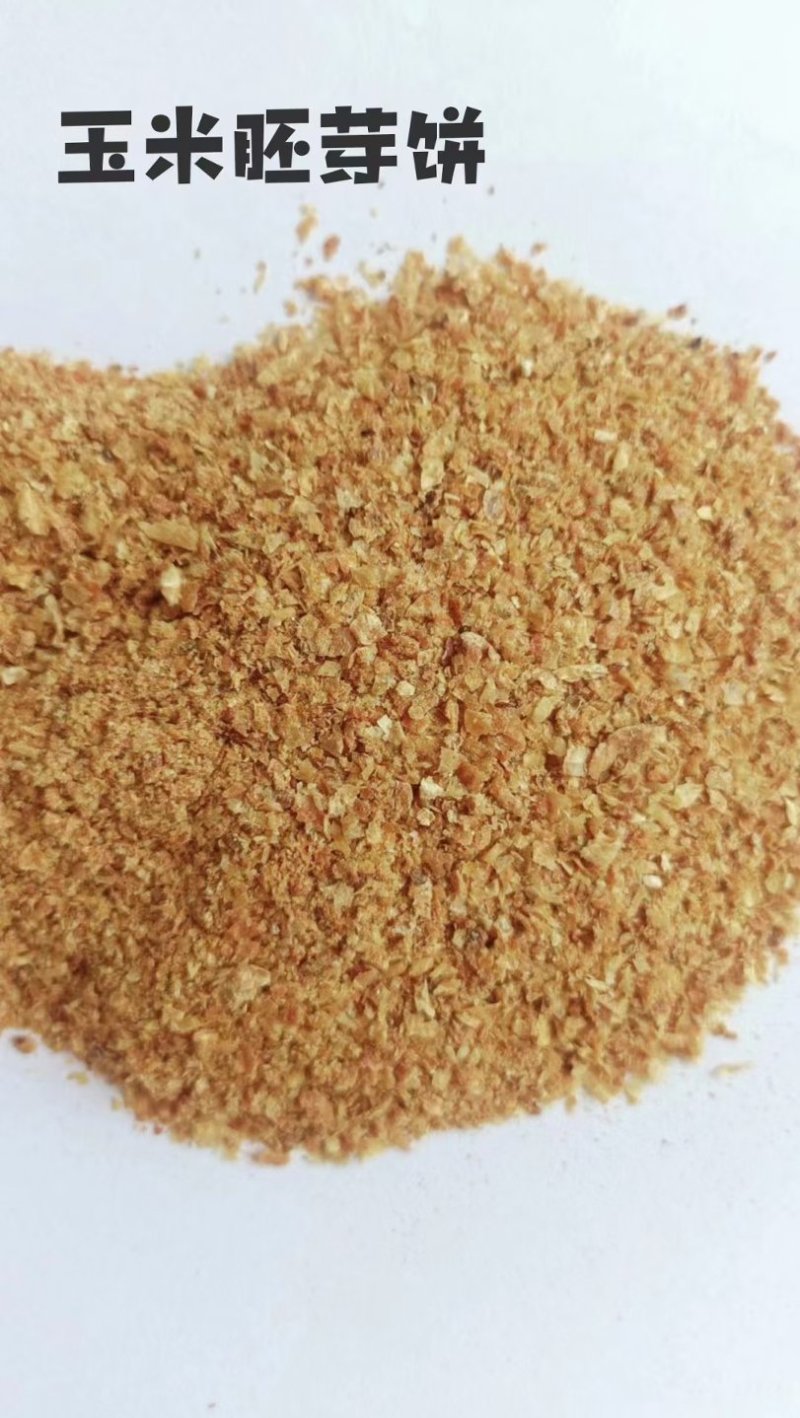 喷浆玉米皮蛋白18