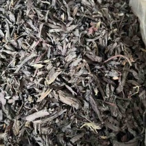 批发紫草巴基斯坦箱装上色效果好比较碎30斤一箱