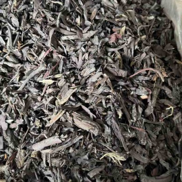 批发紫草巴基斯坦箱装上色效果好比较碎30斤一箱