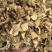 过筛新货干姜片足干好货过粉筛颜色漂亮100斤一件