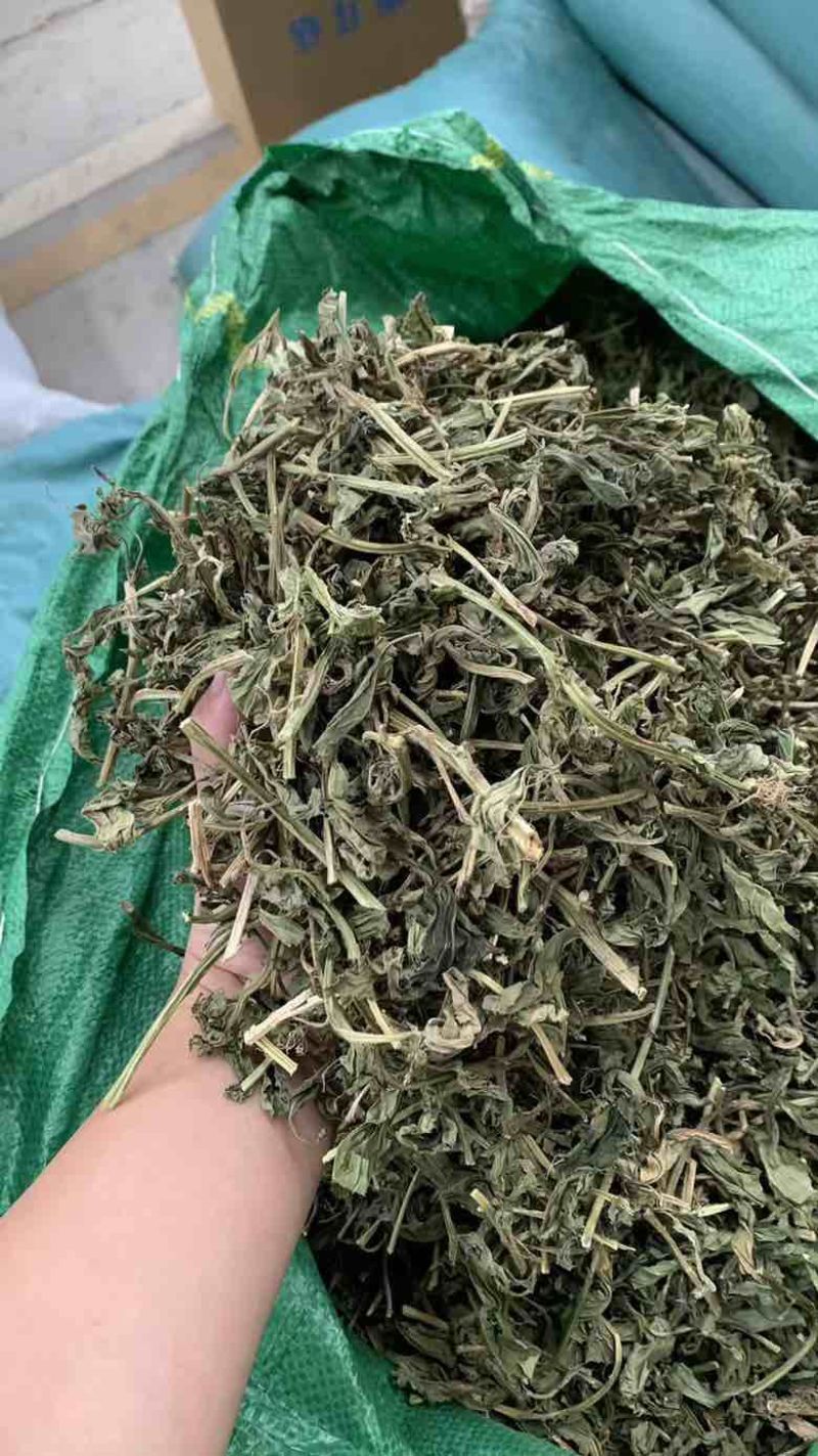 灵香草段大叶新货95干颜色一般绿味道好80斤/件