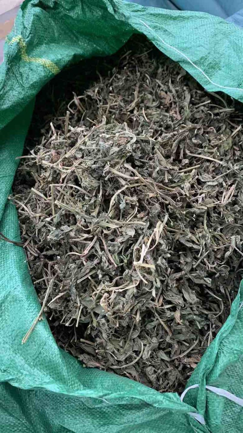 灵香草段大叶新货95干颜色一般绿味道好80斤/件