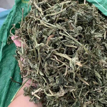 灵香草段大叶新货95干颜色一般绿味道好80斤/件