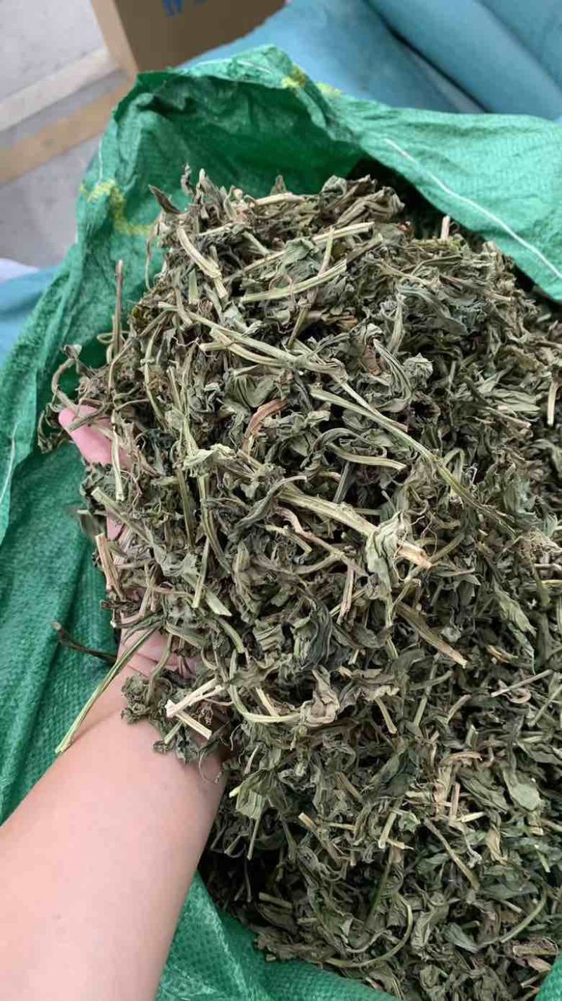 灵香草段大叶新货95干颜色一般绿味道好80斤/件