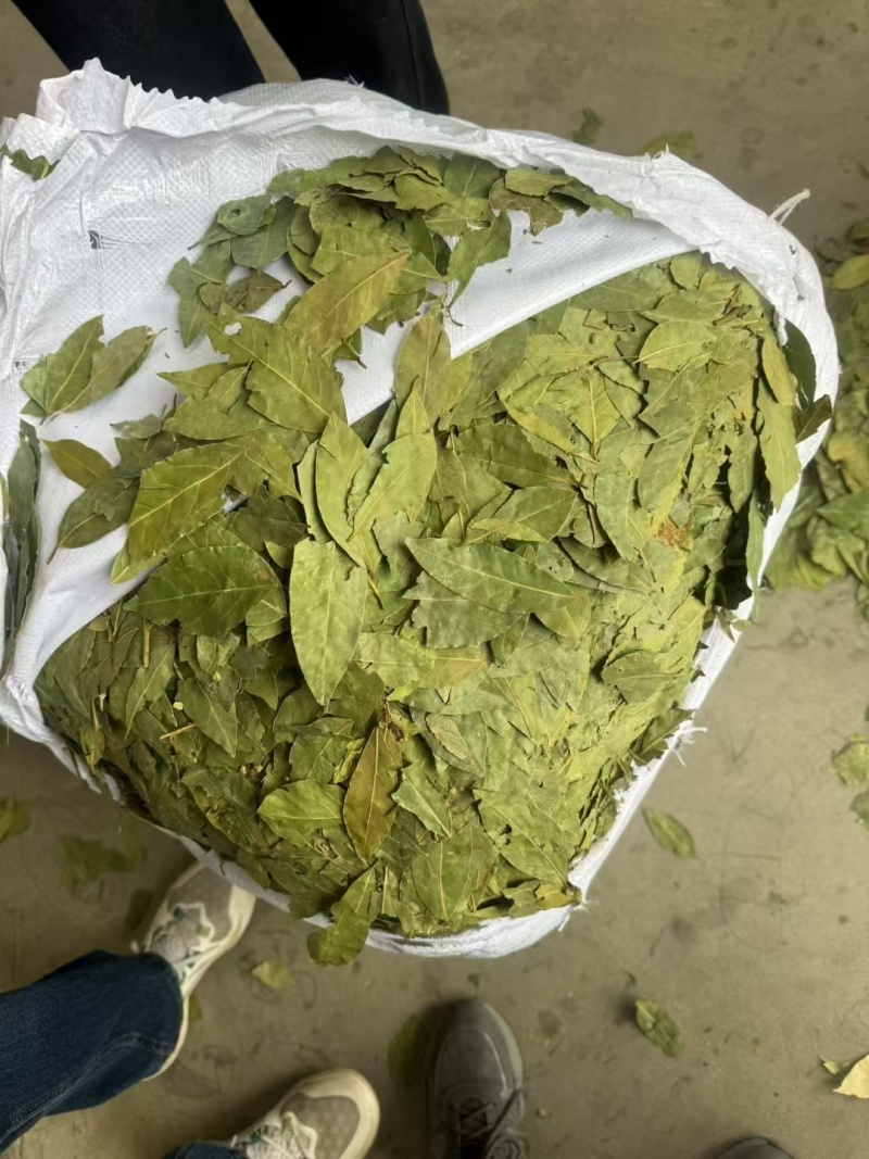 国产香叶，进口香叶，中绿。特绿