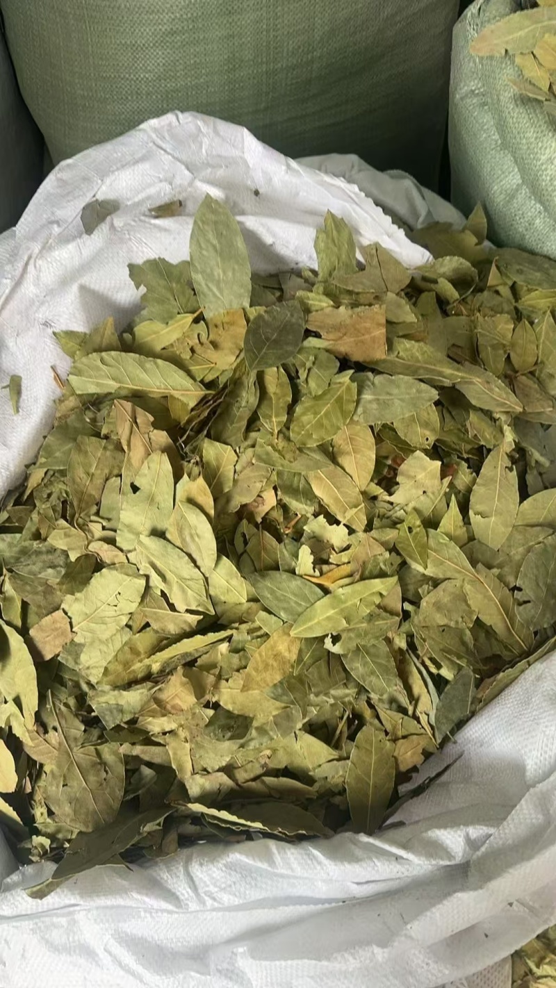 国产香叶，进口香叶，中绿。特绿