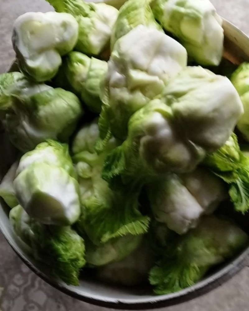 精品儿菜2一6两