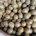 新货罗汉果大箱中果900个每箱中大个头颜色均匀