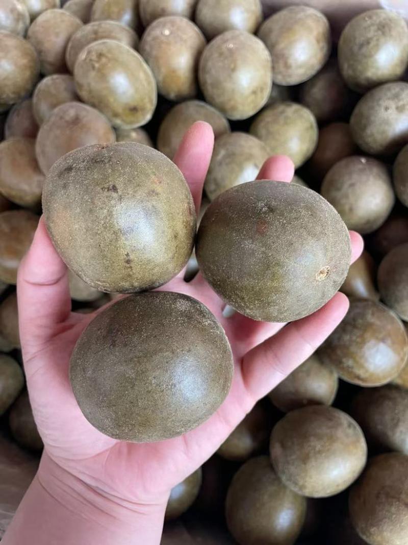 新货罗汉果大箱中果900个每箱中大个头颜色均匀