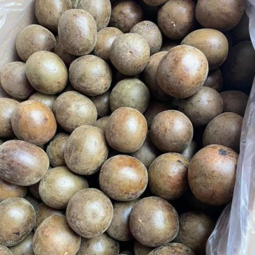 新货罗汉果大箱大果700个每箱大个头颜色均匀